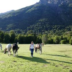 Ein Pferdeparadies 😍