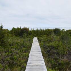 Wanderung im Nationalpark Isla Chiloé