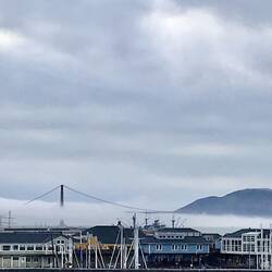 Fog rolling into the Bay