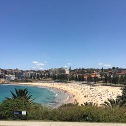 Coogee Beach