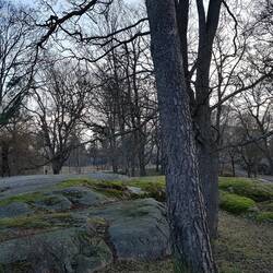 Lots of lovely parks in Helsinki