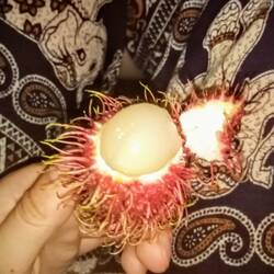 Meine 1. Rambutan