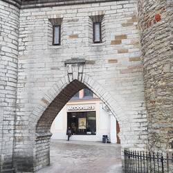 They are lurking all around the world!