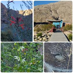 Tahquitz Canyon