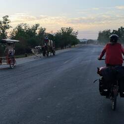 Oxcarts on the road