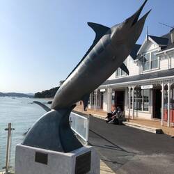 Zane Grey fished for striped marlin like this one