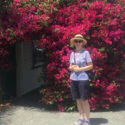 Bougainvillea in full bloom and some Canadian tourist