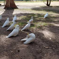 Begrüssungs Komitee