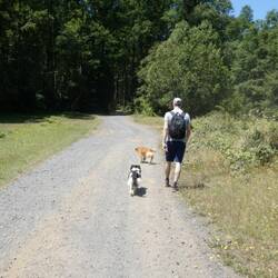 Die beiden Hunde warteten beim Einstieg auf uns - so konnten wir auch den Rückweg gemeinsam antreten