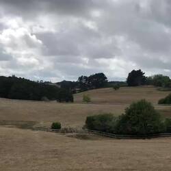 The soft rolling hills of the countryside