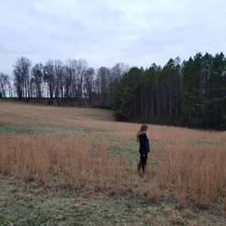 Winterfarben in Tennessee