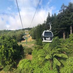 Cable car ride to the top for breakfast