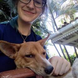 Spielen & Kämmen gehört natürlich auch dazu - und abchecken, wie es den Hunden geht 🐶💚
