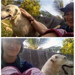 Einige sind sooo liebebedürftig 🥺 Doch die Mitarbeiter haben genug zu tun... Da kommen wir ins Spiel