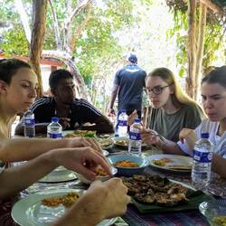 Hungrige Meute stürzt sich aufs Mittag 😋