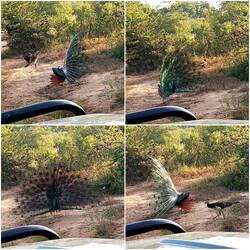 Good Luck, Mate 😘