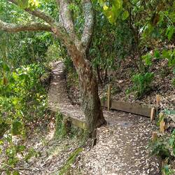 Lots of different vegetation