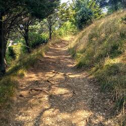 It's the end of summer, so falling leaves