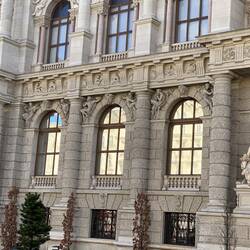 Reflektionen im Museum