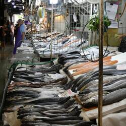 Im Mercado Central: Fisch so weit das Auge reicht