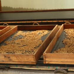 Außerhalb der Erntezeit wird manuell getrocknet