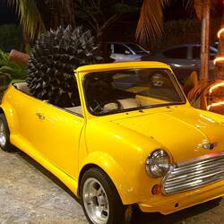 Ce fruit est un durian, testé mais pas vraiment approuvé...