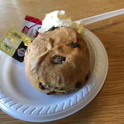 Morning tea - a date scone with butter, jam and whipped cream. Yum!!!