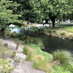 The Avon flows gently through the city