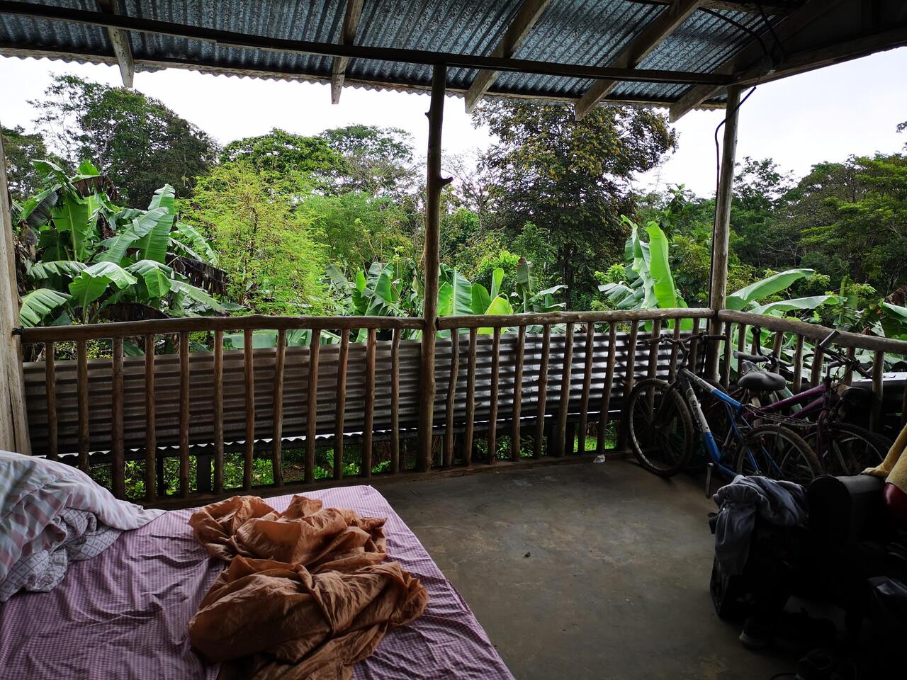 Bed with jungle view