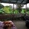 Bed with jungle view