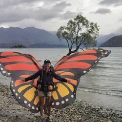 Butterfly 😂