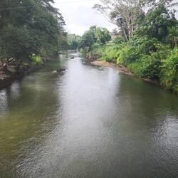 People working in the Zapote River