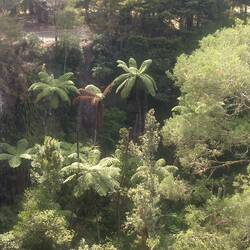 Our view from the top of the Pukenui Falls