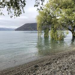 Evidence on the shore of recent flooding after torrential rainfall