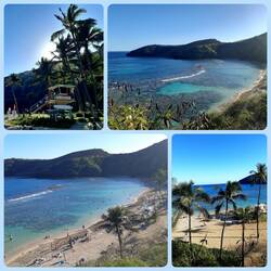 Schnorchelstopp in der Bucht