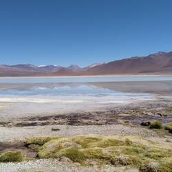 White lake