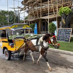 Pferdekarren auf Gili und Bambushotel Baustelle im Hintergrund