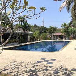 Phuket hotel pool surrounded by palm trees