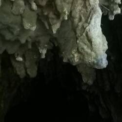 Exit of Waitomo Glowworm Cave
