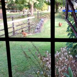 Looking out the window and what do we see?