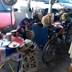 Doggie cafe