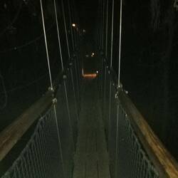Red Wood Treewalk by night