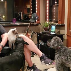 Pet meet & greet at Chad & Leslie's