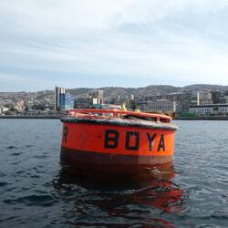 Die Hafenrundfahrt bietet eine andere Sicht auf die Stadt und man kann einige Robben beobachten