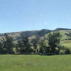 The fertile land around Dunedin