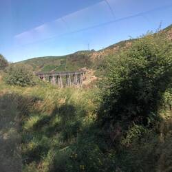 One of several complex viaduct structures on the rail line