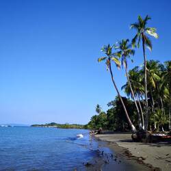 Beach in Puerto Jiménez