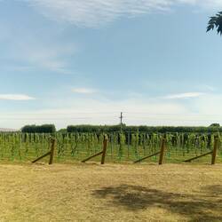 Askerne Winery