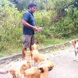 Ein paar Leckerlis gibt's auch noch 😋