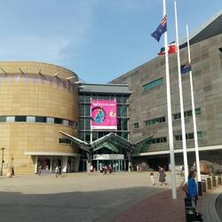 Te Papa Museum